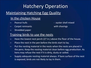 Hatchery Operation ,[object Object],[object Object],[object Object],[object Object],[object Object],[object Object],[object Object],[object Object],[object Object],[object Object]