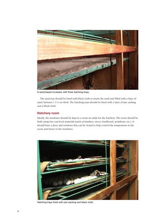 A sand-based incubator with three hatching trays.

      The sand tray should be lined with black cloth to retain the sand and filled with a layer of
    sand, between 1.5-3 cm thick. The hatching trays should be lined with a layer of jute sacking
    and a black cloth.


    Hatchery room
    Ideally, the incubator should be kept in a room set aside for the hatchery. The room should be
    built using low-cost local materials (such as bamboo, stra.w, hardboard, polythene, etc.). It
    should have a door and windows that can be closed to help control the temperature in the
    room and hence in the incubator.




    Hatching trays lined with jute sacking and black cloth.


6
 