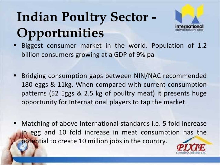 Poultry overview India