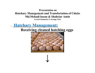 Presentation on
Hatchary Management and Transfortation of Chicks
Md.Mehadi hasan & Shahriar Amin
Level-4 Semester-1, Group: F(1)
• Hatchary Management:
Receiving cleaned hatching eggs
↓
 