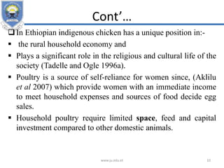 Cont’…
In Ethiopian indigenous chicken has a unique position in:-
 the rural household economy and
 Plays a significant role in the religious and cultural life of the
society (Tadelle and Ogle 1996a).
 Poultry is a source of self-reliance for women since, (Aklilu
et al 2007) which provide women with an immediate income
to meet household expenses and sources of food decide egg
sales.
 Household poultry require limited space, feed and capital
investment compared to other domestic animals.
www.ju.edu.et 10
 