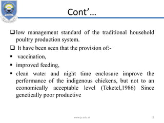 Cont’…
low management standard of the traditional household
poultry production system.
 It have been seen that the provision of:-
 vaccination,
 improved feeding,
 clean water and night time enclosure improve the
performance of the indigenous chickens, but not to an
economically acceptable level (Teketel,1986) Since
genetically poor productive
www.ju.edu.et 12
 