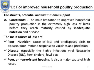 1.3 For improved household poultry production
Constraints, potential and Institutional support
A. Constraints: - The main limitation to improved household
poultry production is the extremely high loss of birds
before they reach maturity caused by inadequate
nutrition and disease.
The main causes of loss are:
 Poor Nutrition: cause of loss and predisposes birds to
disease, poor immune response to vaccines and predation
 Disease: especially the highly infectious viral Newcastle
Disease (ND), Fowl cholera, fowl pox
 Poor, or non-existent housing, is also a major cause of high
losses
www.ju.edu.et 13
 