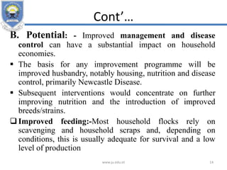 Cont’…
B. Potential: - Improved management and disease
control can have a substantial impact on household
economies.
 The basis for any improvement programme will be
improved husbandry, notably housing, nutrition and disease
control, primarily Newcastle Disease.
 Subsequent interventions would concentrate on further
improving nutrition and the introduction of improved
breeds/strains.
Improved feeding:-Most household flocks rely on
scavenging and household scraps and, depending on
conditions, this is usually adequate for survival and a low
level of production
www.ju.edu.et 14
 