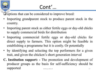 Cont’…
options that can be considered to improve breed:
• Importing grandparent stock to produce parent stock in the
country.
• Importing parent stock as either fertile eggs or day-old chicks
to supply commercial birds for distribution
• Importing commercial fertile eggs or day-old chicks for
direct supply to farmers. This option might be feasible in
establishing a programme but it is costly. Or potentially
• by identifying and selecting the top performers for a given
trait, and given the chicken’s short generation interval
C. Institution support: - The promotion and development of
producer groups as the basis for self-sufficiency should be
supported www.ju.edu.et 17
 