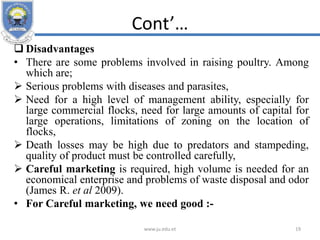 Cont’…
 Disadvantages
• There are some problems involved in raising poultry. Among
which are;
 Serious problems with diseases and parasites,
 Need for a high level of management ability, especially for
large commercial flocks, need for large amounts of capital for
large operations, limitations of zoning on the location of
flocks,
 Death losses may be high due to predators and stampeding,
quality of product must be controlled carefully,
 Careful marketing is required, high volume is needed for an
economical enterprise and problems of waste disposal and odor
(James R. et al 2009).
• For Careful marketing, we need good :-
www.ju.edu.et 19
 