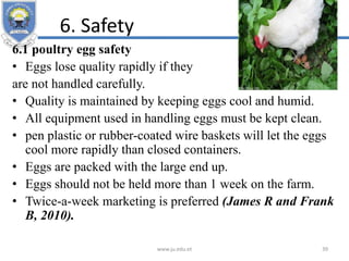 6. Safety
6.1 poultry egg safety
• Eggs lose quality rapidly if they
are not handled carefully.
• Quality is maintained by keeping eggs cool and humid.
• All equipment used in handling eggs must be kept clean.
• pen plastic or rubber-coated wire baskets will let the eggs
cool more rapidly than closed containers.
• Eggs are packed with the large end up.
• Eggs should not be held more than 1 week on the farm.
• Twice-a-week marketing is preferred (James R and Frank
B, 2010).
www.ju.edu.et 39
 