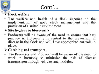 Cont’…
 Flock welfare
• The welfare and health of a flock depends on the
implementation of good stock management and the
provision of a suitable environment.
 Site hygiene & biosecurity
• Producers will be aware of the need to ensure that best
practice in bio-security is central to the prevention of
disease in the flock and will have appropriate controls in
place.
 Catching and transport
• The Processor and Producer will be aware of the need to
work in harmony to minimize the risk of disease
transmission through vehicles and modules.
www.ju.edu.et 47
 