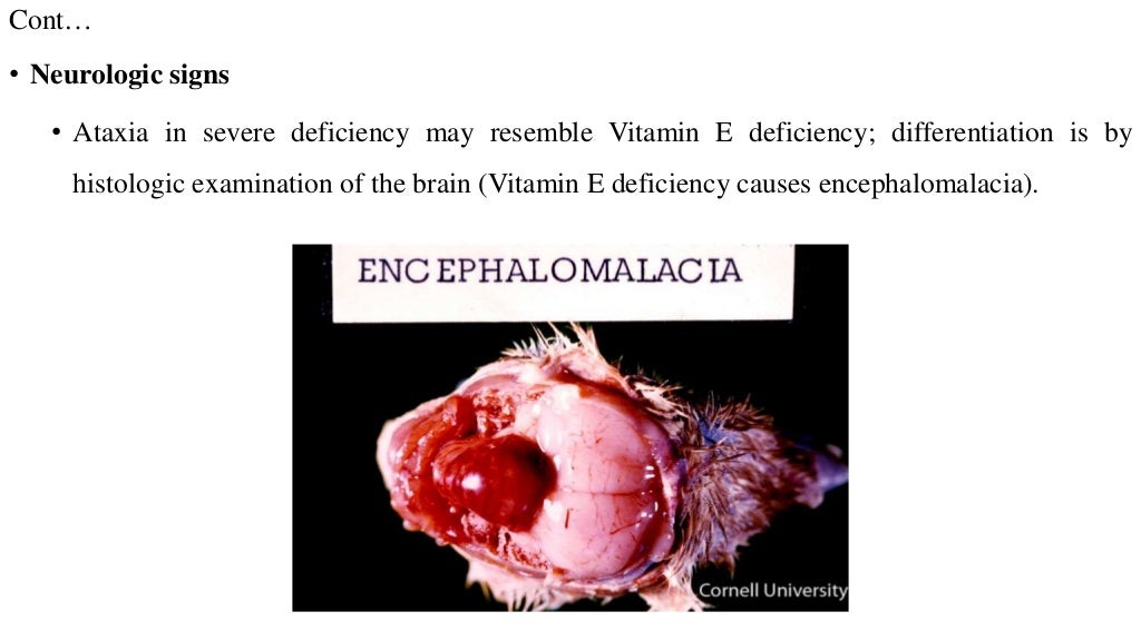 pathology of vitamin A deficiency in poultry