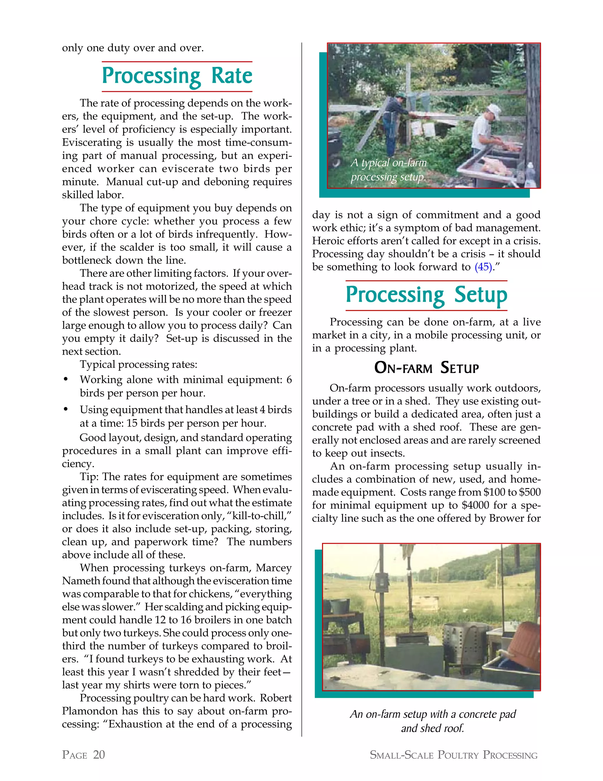 only one duty over and over.

         Processing R ate
         Processing Rate
    The rate of processing depends on the work-
ers, the equipment, and the set-up. The work-
ers’ level of proficiency is especially important.
Eviscerating is usually the most time-consum-
ing part of manual processing, but an experi-
enced worker can eviscerate two birds per
                                                                  A typical on-farm
minute. Manual cut-up and deboning requires                       processing setup.
skilled labor.
    The type of equipment you buy depends on
                                                          day is not a sign of commitment and a good
your chore cycle: whether you process a few
                                                          work ethic; it’s a symptom of bad management.
birds often or a lot of birds infrequently. How-
                                                          Heroic efforts aren’t called for except in a crisis.
ever, if the scalder is too small, it will cause a
                                                          Processing day shouldn’t be a crisis – it should
bottleneck down the line.
                                                          be something to look forward to (45).”
    There are other limiting factors. If your over-

                                                                 Processing Setup
head track is not motorized, the speed at which
the plant operates will be no more than the speed                Processing
of the slowest person. Is your cooler or freezer
large enough to allow you to process daily? Can               Processing can be done on-farm, at a live
you empty it daily? Set-up is discussed in the            market in a city, in a mobile processing unit, or
next section.                                             in a processing plant.
    Typical processing rates:                                           O N- FARM S ETUP
• Working alone with minimal equipment: 6
    birds per person per hour.                                On-farm processors usually work outdoors,
                                                          under a tree or in a shed. They use existing out-
• Using equipment that handles at least 4 birds           buildings or build a dedicated area, often just a
    at a time: 15 birds per person per hour.              concrete pad with a shed roof. These are gen-
    Good layout, design, and standard operating           erally not enclosed areas and are rarely screened
procedures in a small plant can improve effi-             to keep out insects.
ciency.                                                       An on-farm processing setup usually in-
    Tip: The rates for equipment are sometimes            cludes a combination of new, used, and home-
given in terms of eviscerating speed. When evalu-         made equipment. Costs range from $100 to $500
ating processing rates, find out what the estimate        for minimal equipment up to $4000 for a spe-
includes. Is it for evisceration only, “kill-to-chill,”   cialty line such as the one offered by Brower for
or does it also include set-up, packing, storing,
clean up, and paperwork time? The numbers
above include all of these.
    When processing turkeys on-farm, Marcey
Nameth found that although the evisceration time
was comparable to that for chickens, “everything
else was slower.” Her scalding and picking equip-
ment could handle 12 to 16 broilers in one batch
but only two turkeys. She could process only one-
third the number of turkeys compared to broil-
ers. “I found turkeys to be exhausting work. At
least this year I wasn’t shredded by their feet—
last year my shirts were torn to pieces.”
    Processing poultry can be hard work. Robert
Plamondon has this to say about on-farm pro-                      An on-farm setup with a concrete pad
cessing: “Exhaustion at the end of a processing                             and shed roof.

PAGE 20                                                                SMALL-SCALE POULTRY PROCESSING
 