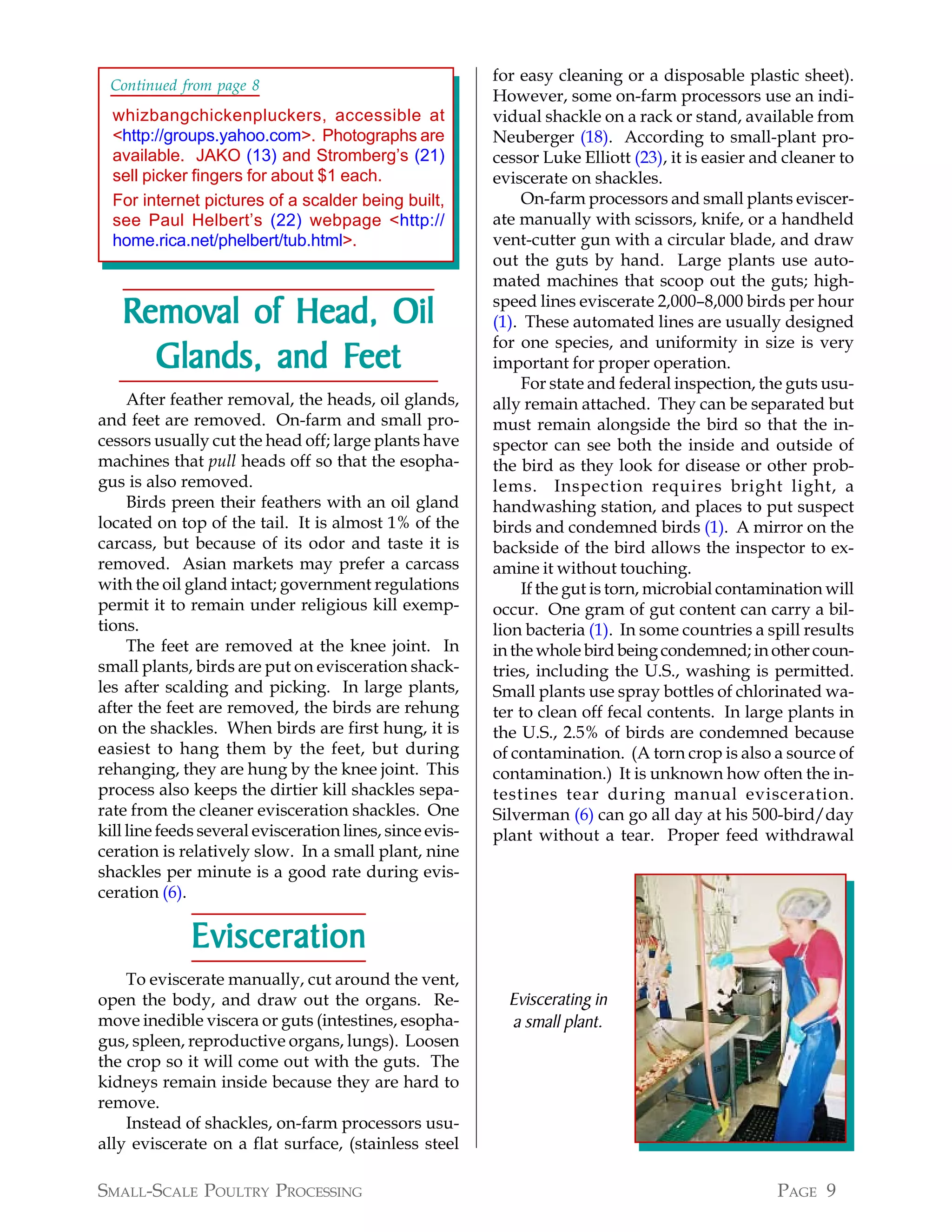 for easy cleaning or a disposable plastic sheet).
 Continued from page 8
                                                          However, some on-farm processors use an indi-
  whizbangchickenpluckers, accessible at                  vidual shackle on a rack or stand, available from
  <http://groups.yahoo.com>. Photographs are              Neuberger (18). According to small-plant pro-
  available. JAKO (13) and Stromberg’s (21)               cessor Luke Elliott (23), it is easier and cleaner to
  sell picker fingers for about $1 each.                  eviscerate on shackles.
  For internet pictures of a scalder being built,              On-farm processors and small plants eviscer-
  see Paul Helbert’s (22) webpage <http://                ate manually with scissors, knife, or a handheld
  home.rica.net/phelbert/tub.html>.                       vent-cutter gun with a circular blade, and draw
                                                          out the guts by hand. Large plants use auto-
                                                          mated machines that scoop out the guts; high-

   Removal of Head, Oil                                   speed lines eviscerate 2,000–8,000 birds per hour
                                                          (1). These automated lines are usually designed
                                                          for one species, and uniformity in size is very
     Glands, and Feet
                 Feet                                     important for proper operation.
                                                               For state and federal inspection, the guts usu-
     After feather removal, the heads, oil glands,        ally remain attached. They can be separated but
and feet are removed. On-farm and small pro-              must remain alongside the bird so that the in-
cessors usually cut the head off; large plants have       spector can see both the inside and outside of
machines that pull heads off so that the esopha-          the bird as they look for disease or other prob-
gus is also removed.                                      lems. Inspection requires bright light, a
     Birds preen their feathers with an oil gland         handwashing station, and places to put suspect
located on top of the tail. It is almost 1% of the        birds and condemned birds (1). A mirror on the
carcass, but because of its odor and taste it is          backside of the bird allows the inspector to ex-
removed. Asian markets may prefer a carcass               amine it without touching.
with the oil gland intact; government regulations              If the gut is torn, microbial contamination will
permit it to remain under religious kill exemp-           occur. One gram of gut content can carry a bil-
tions.                                                    lion bacteria (1). In some countries a spill results
     The feet are removed at the knee joint. In           in the whole bird being condemned; in other coun-
small plants, birds are put on evisceration shack-        tries, including the U.S., washing is permitted.
les after scalding and picking. In large plants,          Small plants use spray bottles of chlorinated wa-
after the feet are removed, the birds are rehung          ter to clean off fecal contents. In large plants in
on the shackles. When birds are first hung, it is         the U.S., 2.5% of birds are condemned because
easiest to hang them by the feet, but during              of contamination. (A torn crop is also a source of
rehanging, they are hung by the knee joint. This          contamination.) It is unknown how often the in-
process also keeps the dirtier kill shackles sepa-        testines tear during manual evisceration.
rate from the cleaner evisceration shackles. One          Silverman (6) can go all day at his 500-bird/day
kill line feeds several evisceration lines, since evis-   plant without a tear. Proper feed withdrawal
ceration is relatively slow. In a small plant, nine
shackles per minute is a good rate during evis-
ceration (6).

              Evisceration
    To eviscerate manually, cut around the vent,
open the body, and draw out the organs. Re-                 Eviscerating in
move inedible viscera or guts (intestines, esopha-          a small plant.
gus, spleen, reproductive organs, lungs). Loosen
the crop so it will come out with the guts. The
kidneys remain inside because they are hard to
remove.
    Instead of shackles, on-farm processors usu-
ally eviscerate on a flat surface, (stainless steel

SMALL-SCALE POULTRY PROCESSING                                                                     PAGE 9
 