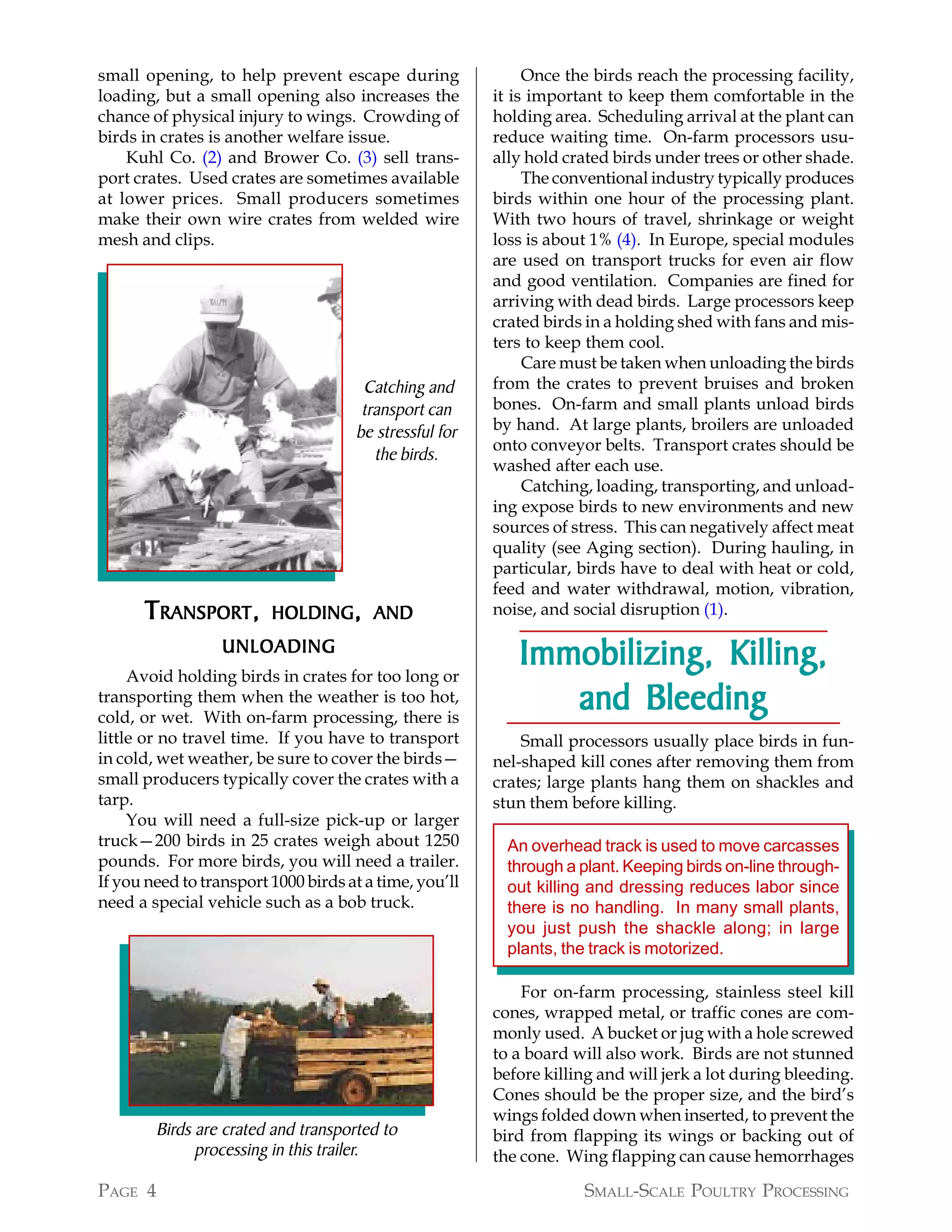 Small-Scale Poultry Processing | PDF