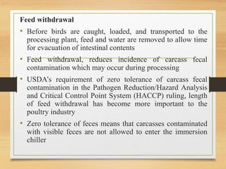 Feed withdrawal
• Before birds are caught, loaded, and transported to the
processing plant, feed and water are removed to allow time
for evacuation of intestinal contents
• Feed withdrawal, reduces incidence of carcass fecal
contamination which may occur during processing
• USDA’s requirement of zero tolerance of carcass fecal
contamination in the Pathogen Reduction/Hazard Analysis
and Critical Control Point System (HACCP) ruling, length
of feed withdrawal has become more important to the
poultry industry
• Zero tolerance of feces means that carcasses contaminated
with visible feces are not allowed to enter the immersion
chiller
 