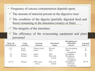 • Frequency of carcass contamination depends upon;
 The amount of material present in the digestive tract
 The condition of the digesta (partially digested food and
feces) remaining in the intestines (watery or firm)
 The integrity of the intestines
 The efficiency of the eviscerating equipment and plant
personnel
 