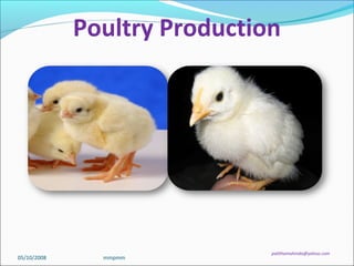 Poultry Production
palithamahinda@yahoo.com
05/10/2008 mmpmm
 