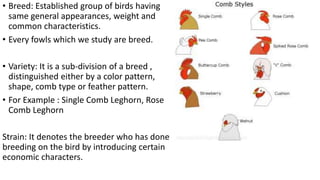 • Breed: Established group of birds having
same general appearances, weight and
common characteristics.
• Every fowls which we study are breed.
• Variety: It is a sub-division of a breed ,
distinguished either by a color pattern,
shape, comb type or feather pattern.
• For Example : Single Comb Leghorn, Rose
Comb Leghorn
Strain: It denotes the breeder who has done
breeding on the bird by introducing certain
economic characters.
 