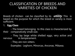 Chicken Classification POULTRY_PRODUCTION1.pptx