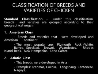 Chicken Classification POULTRY_PRODUCTION1.pptx