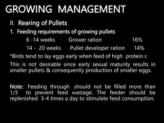 Pullet Rearing Development POULTRY_PRODUCTION1.pptx