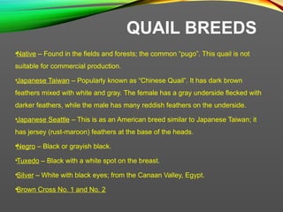 Pugo In English POULTRY PRODUCTION AND MANAGEMENTNNN.pptx