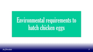 Environmental requirements to
hatch chicken eggs
MLBibat2020 11
 