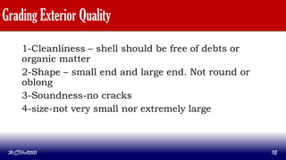 Grading Exterior Quality
1-Cleanliness – shell should be free of debts or
organic matter
2-Shape – small end and large end. Not round or
oblong
3-Soundness-no cracks
4-size-not very small nor extremely large
MLBibat2020 15
 