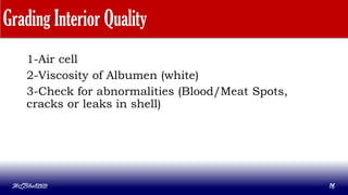 Grading Interior Quality
1-Air cell
2-Viscosity of Albumen (white)
3-Check for abnormalities (Blood/Meat Spots,
cracks or leaks in shell)
MLBibat2020 16
 