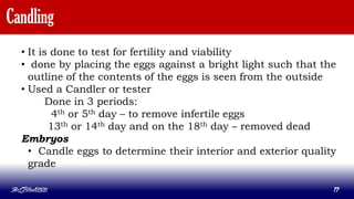 Candling
• It is done to test for fertility and viability
• done by placing the eggs against a bright light such that the
outline of the contents of the eggs is seen from the outside
• Used a Candler or tester
Done in 3 periods:
4th or 5th day – to remove infertile eggs
13th or 14th day and on the 18th day – removed dead
Embryos
• Candle eggs to determine their interior and exterior quality
grade
MLBibat2020 17
 
