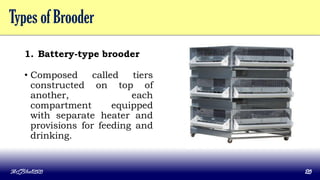 Types of Brooder
1. Battery-type brooder
• Composed called tiers
constructed on top of
another, each
compartment equipped
with separate heater and
provisions for feeding and
drinking.
MLBibat2020 20
 