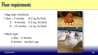 Floor requirements
• Egg type chickens
1 day – 3 weeks 0.3 sq.ft/bird
3 - 8 weeks 0.5 sq. ft/bird
8 – 12 weeks 1.0 sq. ft/bird
• Meat type
1 day – 2 weeks
2 weeks – market age
MLBibat2020 25
 