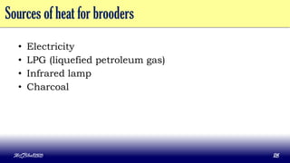 Sources of heat for brooders
• Electricity
• LPG (liquefied petroleum gas)
• Infrared lamp
• Charcoal
MLBibat2020 26
 