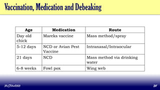 Vaccination, Medication and Debeaking
Age Medication Route
Day old
chick
Mareks vaccine Mass method/spray
5-12 days NCD or Avian Pest
Vaccine
Intranasal/Intraocular
21 days NCD Mass method via drinking
water
6-8 weeks Fowl pox Wing web
MLBibat2020 34
 