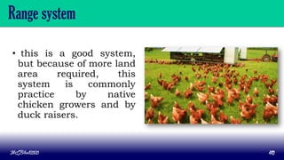 Range system
• this is a good system,
but because of more land
area required, this
system is commonly
practice by native
chicken growers and by
duck raisers.
MLBibat2020 40
 