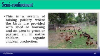 Semi-confinement
• This is a system of
raising poultry where
the birds are provided
with shed or housing
and an area to graze or
pasture. e.i. in native
chicken, organic
chicken production.
MLBibat2020 41
 