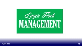 Layer Flock
MANAGEMENT
MLBibat2020 46
 