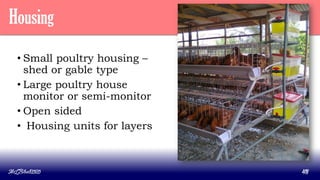 Housing
• Small poultry housing –
shed or gable type
• Large poultry house
monitor or semi-monitor
• Open sided
• Housing units for layers
MLBibat2020 48
 
