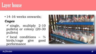Layer house
• 14-16 weeks onwards;
Cages
 single, multiply 2-10
pullets) or colony (20-30
pullets)
 local conditions – ¾
birds/cage give good
performance
MLBibat2020 51
 