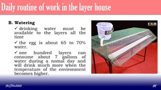 B. Watering
 drinking water must be
available to the layers all the
time
 the egg is about 65 to 70%
water.
 one hundred layers can
consume about 7 gallons of
water during a nomal day and
will drink much more when the
temperature of the environment
becomes higher.
MLBibat2020 54
Daily routine of work in the layer house
 
