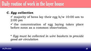 MLBibat2020 56
Daily routine of work in the layer house
C. Egg collection
 majority of hens lay their egg b/w 10:00 am to
2:00 pm
 the concentration of egg laying takes place
before noon as a common observation.
* Egg must be collected in wire baskets to provide
good air circulation
 