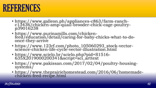 • https://www.galleon.ph/appliances-c863/farm-ranch-
c13436/chicken-amp-quail-brooder-chick-cage-poultry-
p39016238
• https://www.purinamills.com/chicken-
feed/education/detail/caring-for-baby-chicks-what-to-do-
once-they-arrive
• https://www.123rf.com/photo_105060293_stock-vector-
science-chicken-life-cycle-vector-illustration.html
• https://www.scielo.br/scielo.php?pid=S1516-
635X2019000200341&script=sci_arttext
• https://www.pakissan.com/2017/02/04/poultry-housing-
systems/
• https://www.theprairiehomestead.com/2016/06/homemade-
chicken-feed-recipe.html
MLBibat2020 62
REFERENCES
 