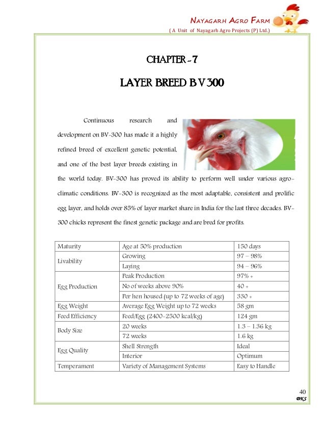 Poultry project report