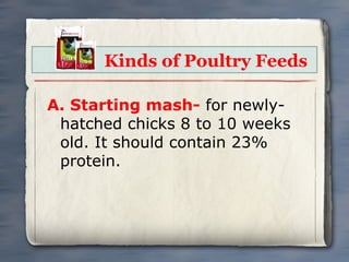Kinds of Poultry Feeds
A. Starting mash- for newlyhatched chicks 8 to 10 weeks
old. It should contain 23%
protein.

 