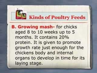 Kinds of Poultry Feeds
B. Growing mash- for chicks
aged 8 to 10 weeks up to 5
months. It contains 20%
protein. It is given to promote
growth rate just enough for the
chickens body and internal
organs to develop in time for its
laying stage.

 