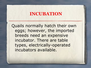 INCUBATION
Quails normally hatch their own
eggs; however, the imported
breeds need an expensive
incubator. There are table
types, electrically-operated
incubators available.

 