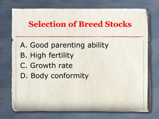 Selection of Breed Stocks
A. Good parenting ability
B. High fertility
C. Growth rate
D. Body conformity

 