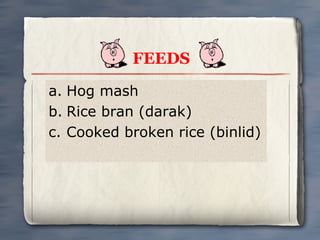 FEEDS
a. Hog mash
b. Rice bran (darak)
c. Cooked broken rice (binlid)

 