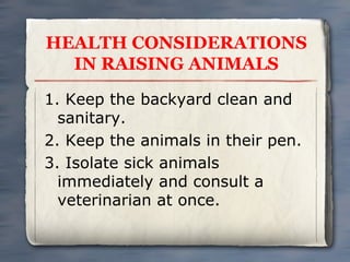 HEALTH CONSIDERATIONS
IN RAISING ANIMALS
1. Keep the backyard clean and
sanitary.
2. Keep the animals in their pen.
3. Isolate sick animals
immediately and consult a
veterinarian at once.

 