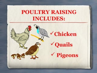 POULTRY RAISING
INCLUDES:
Chicken
Quails
 Pigeons

 