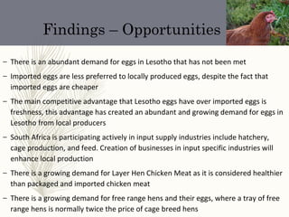 Findings – Opportunities
– There is an abundant demand for eggs in Lesotho that has not been met
– Imported eggs are less preferred to locally produced eggs, despite the fact that
imported eggs are cheaper
– The main competitive advantage that Lesotho eggs have over imported eggs is
freshness, this advantage has created an abundant and growing demand for eggs in
Lesotho from local producers
– South Africa is participating actively in input supply industries include hatchery,
cage production, and feed. Creation of businesses in input specific industries will
enhance local production
– There is a growing demand for Layer Hen Chicken Meat as it is considered healthier
than packaged and imported chicken meat
– There is a growing demand for free range hens and their eggs, where a tray of free
range hens is normally twice the price of cage breed hens
 
