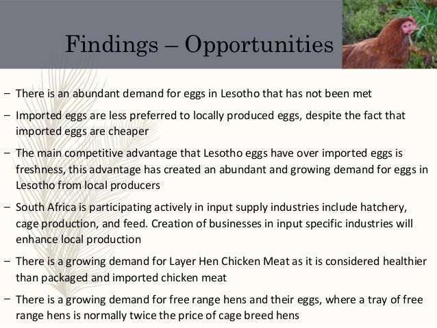 Vegetable value chain image